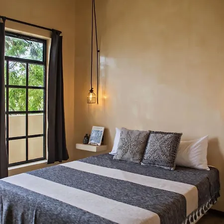 Hotel Botanica