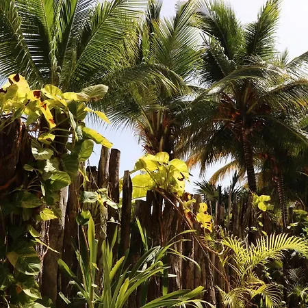 Hotel Andrea's Tulum