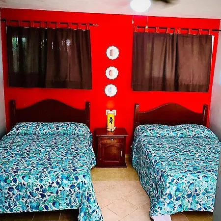 Hotel Andrea's Tulum