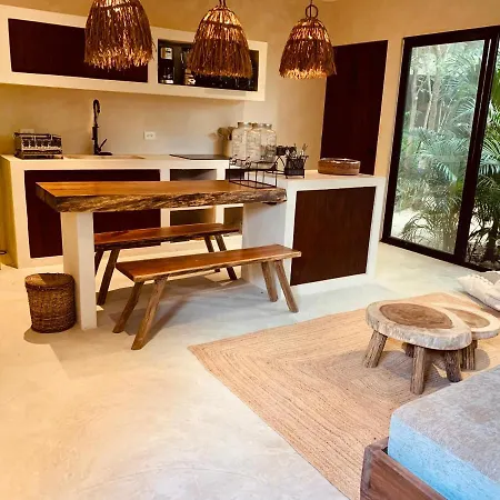 Vida Jungle 1 With Special Fee To Access Bardo * Tulum