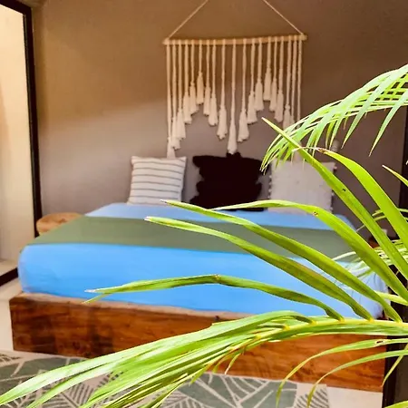 Vida Jungle 1 With Special Fee To Access Bardo * Tulum