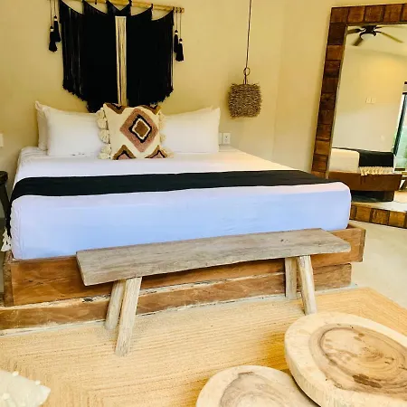 Vida Jungle 1 With Special Fee To Access Bardo Apartment