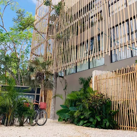 Apartment Vida Jungle 1 With Special Fee To Access Bardo *