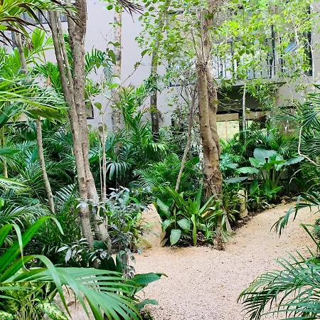 Vida Jungle 1 With Special Fee To Access Bardo * Tulum