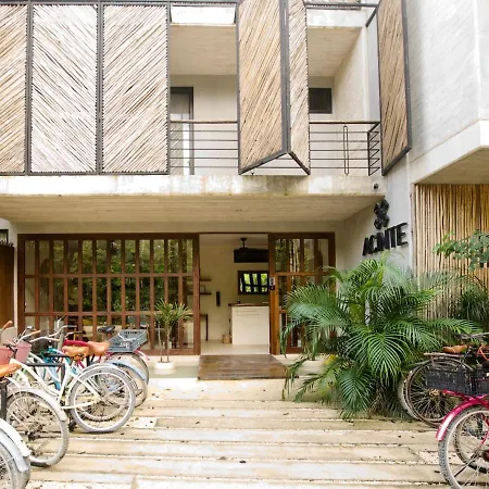 Aparthotel Acinte By Endemico Tulum