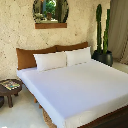 Vida Jungle Boho 14 With Special Fee To Access Bardo Apartment *