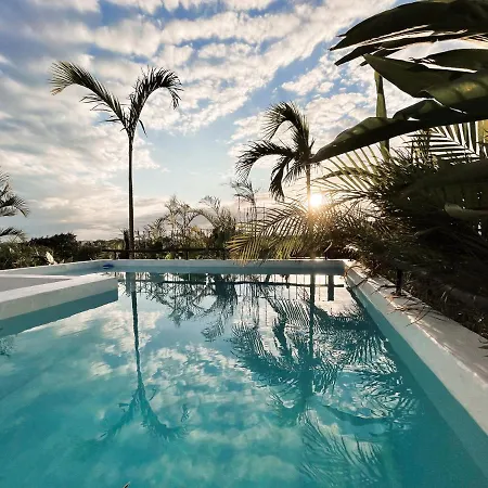 Penca Blue Tulum