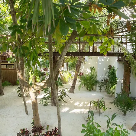 Chiringuito