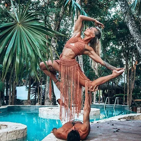 Bufo Alvarius Hotel Tulum