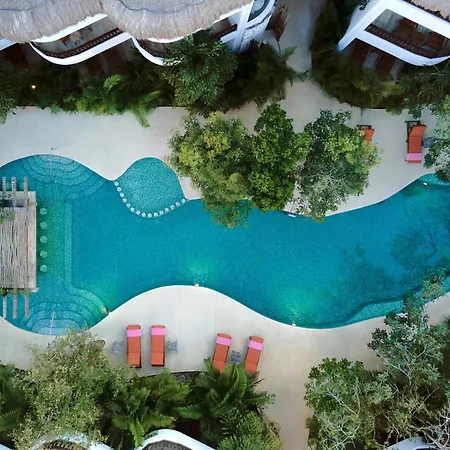 Aluna Hotel