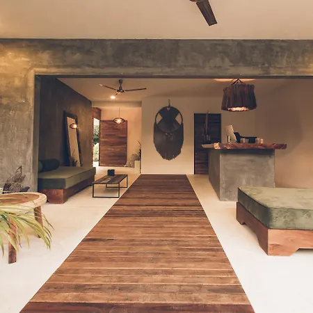 Panacea 4*