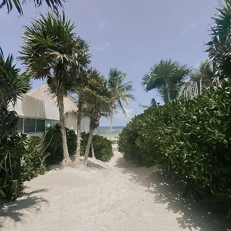 Tuup 3* Tulum