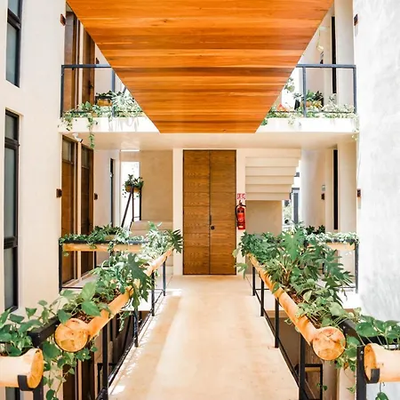Eterna Hotel 4*