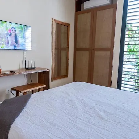 Exquisite Jungle W/private Pool! Apartment *