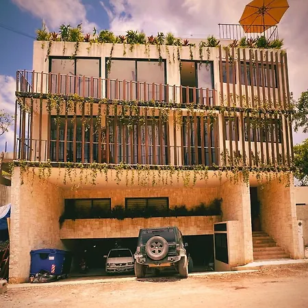 Focus * Tulum
