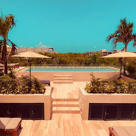 Hotel Focus *