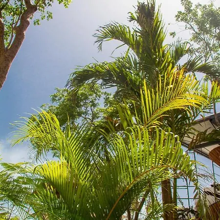Adora Distinctive Residences * Tulum