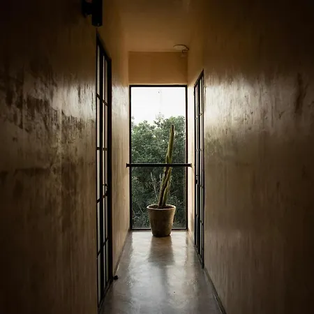 Botanica Tulum