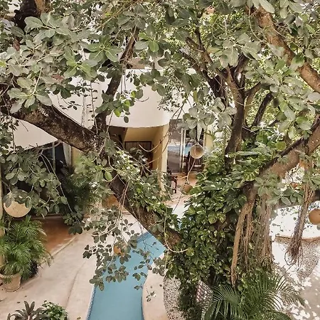Boutique 06 (adults Only) 3* Tulum