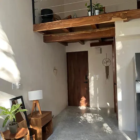 Nice On The Heart Of Tulum