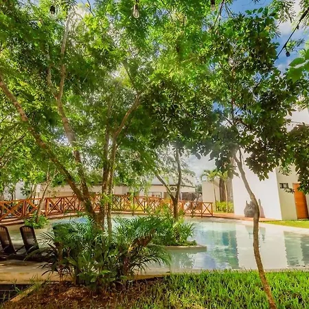 Apartment Near Beach+jungle Views. King Bed+220 Megs+2 Bikes *