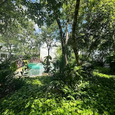Near Beach+jungle Views. King Bed+220 Megs+2 Bikes Apartment Tulum