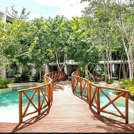 Apartment Near Beach+jungle Views. King Bed+220 Megs+2 Bikes *