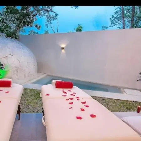 Near Beach+jungle Views. King Bed+220 Megs+2 Bikes