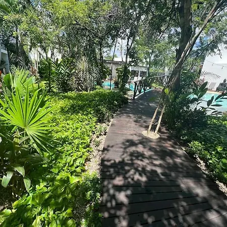 Near Beach+jungle Views. King Bed+220 Megs+2 Bikes Apartment *