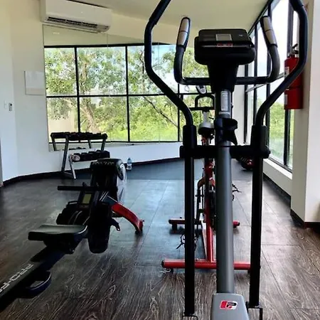 Apartment Near Beach+jungle Views. King Bed+220 Megs+2 Bikes Tulum