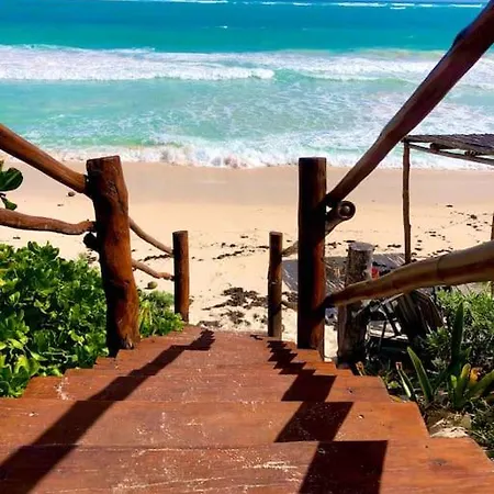 Apartment Near Beach+jungle Views. King Bed+220 Megs+2 Bikes Tulum