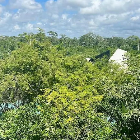Apartment Near Beach+jungle Views. King Bed+220 Megs+2 Bikes Tulum