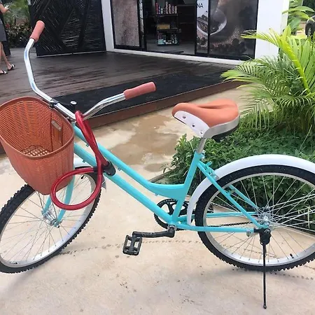 Near Beach+jungle Views. King Bed+220 Megs+2 Bikes Apartment Tulum