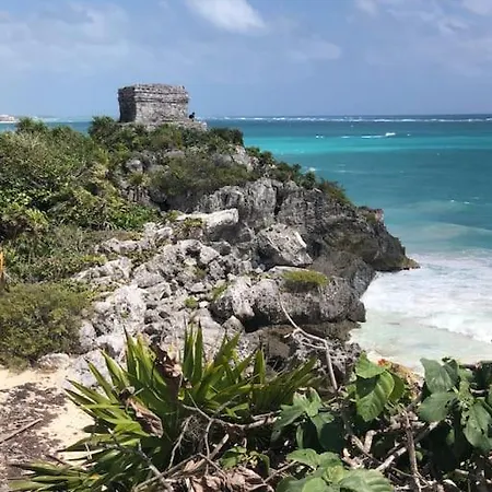 Near Beach+jungle Views. King Bed+220 Megs+2 Bikes Tulum