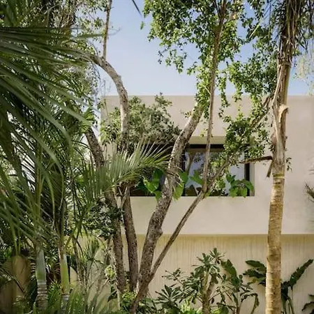 Casa Areca: Award-winning Architectural With Concierge