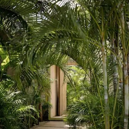 Casa Areca: Award-winning Architectural With Concierge *