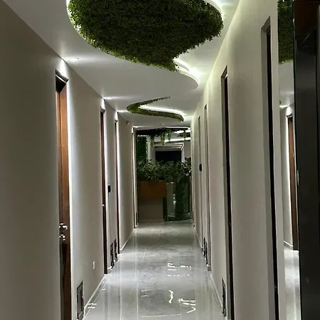 Vip Experience Apartment