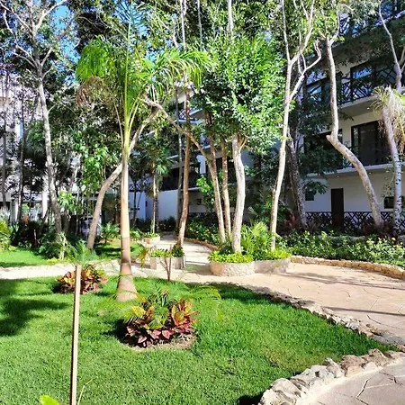Excellence Studio For Rent In Palais P404 Apartment Tulum