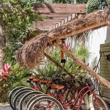 Antique House At Shiva's - Villa