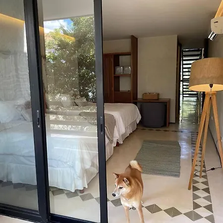 Penthouse 2 Villas In 1 With 2 Private Pools Tulum