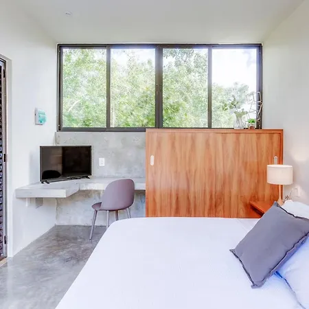 Private Patio Plunge Pool & Electricity Included Apartment