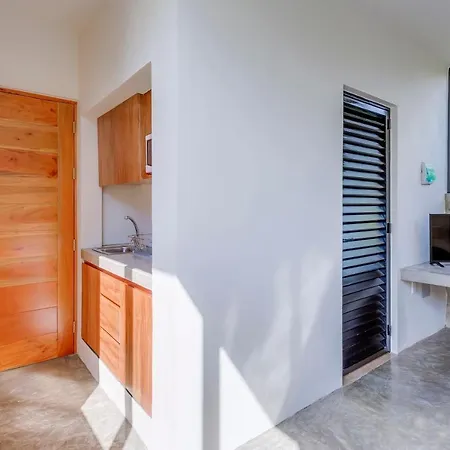 Apartment Private Patio Plunge Pool & Electricity Included *