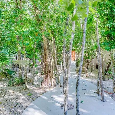 Apartment Private Patio Plunge Pool & Electricity Included *