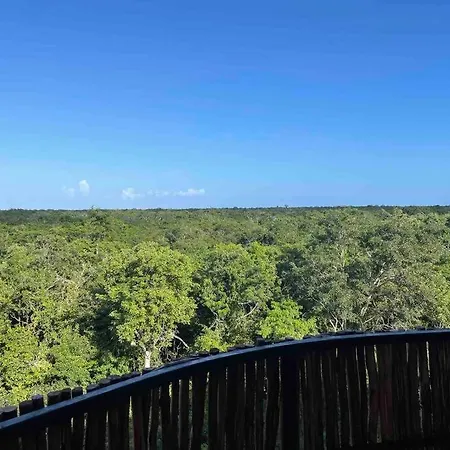 Charming Jungle Gem W/ Private Pool *