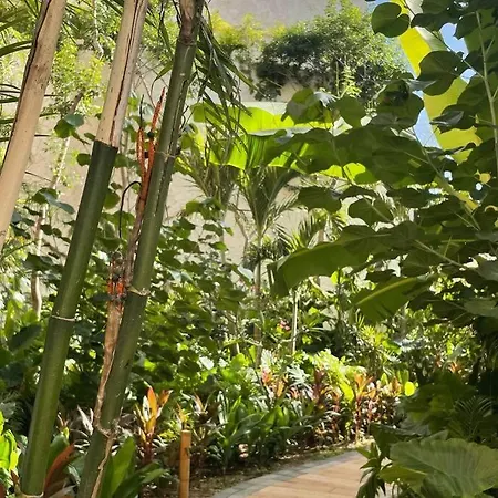 Charming Jungle Gem W/ Private Pool