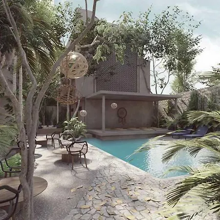 Estudio Holistico En Tulum *