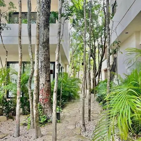Estudio Holistico En Tulum Tulum