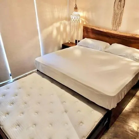 Estudio Holistico En Tulum *