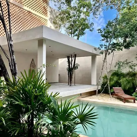 Estudio Holistico En Tulum *