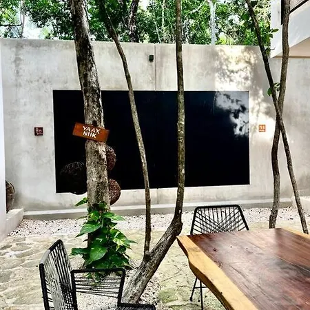 Apartment Estudio Holistico En Tulum
